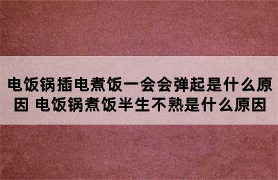 电饭锅插电煮饭一会会弹起是什么原因 电饭锅煮饭半生不熟是什么原因